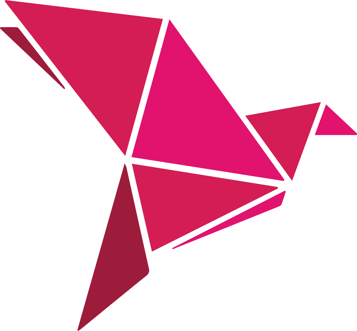 InstaPayBD Logo